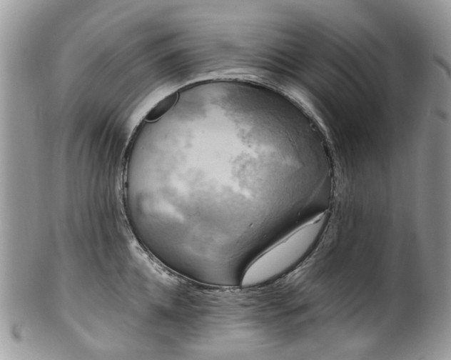 X0000100420952200806131056