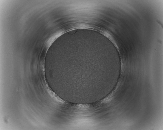 X0000100420954200806131056