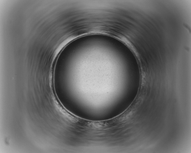 X0000100420955200806131056
