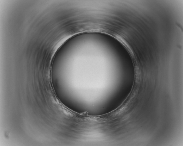 X0000100420956200806131056
