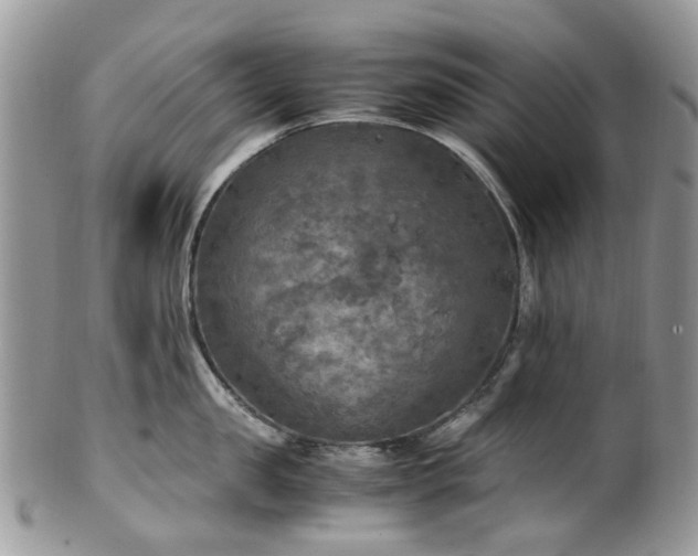 X0000100420957200806131056