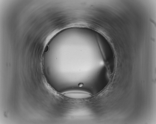 X0000100420960200806131056