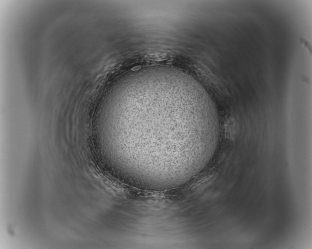 X0000100420961200806131055