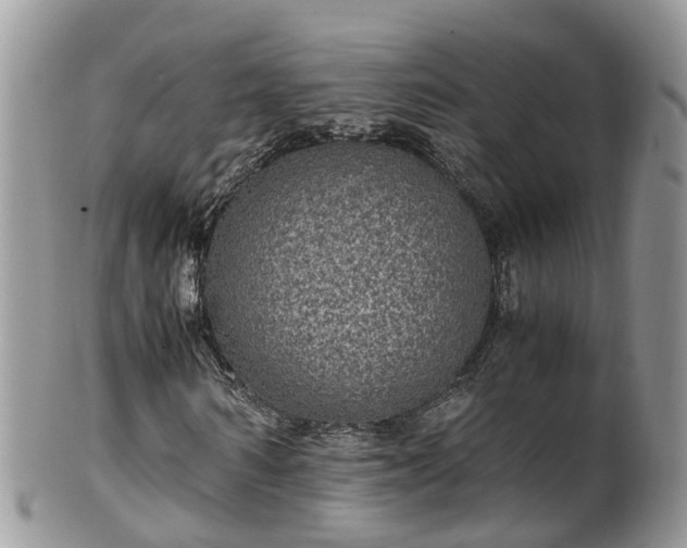X0000100420962200806131055
