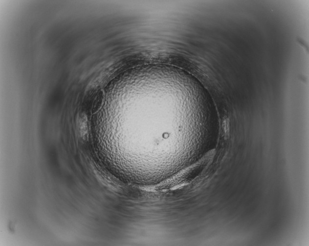 X0000100420963200806131055