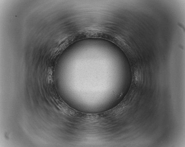 X0000100420964200806131055