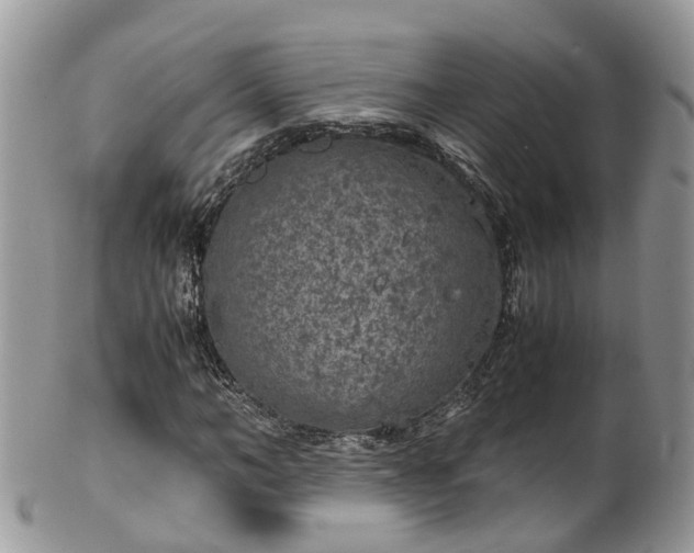 X0000100420966200806131055
