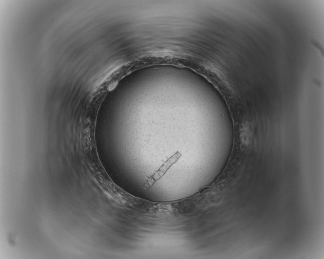 X0000100420968200806131055