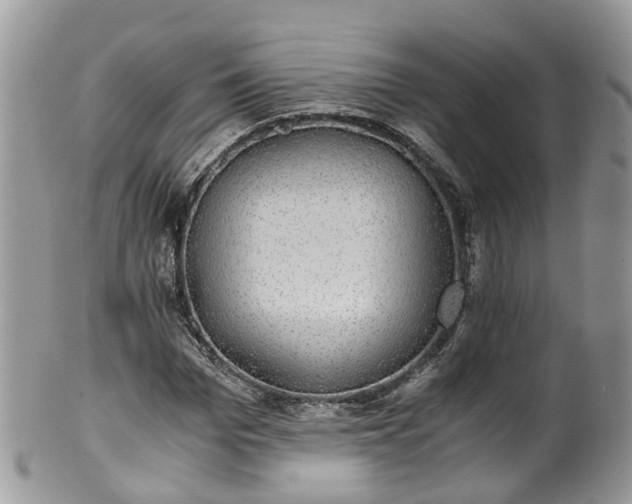 X0000100420969200806131055