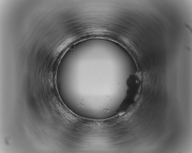 X0000100420970200806131055