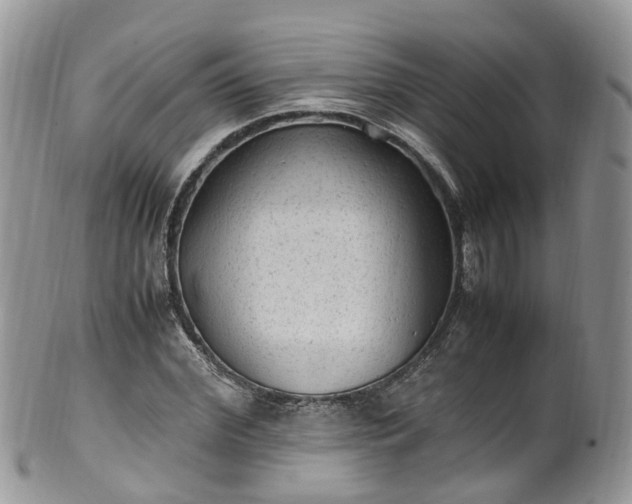 X0000100420972200806131055