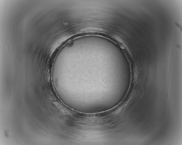 X0000100420973200806131055