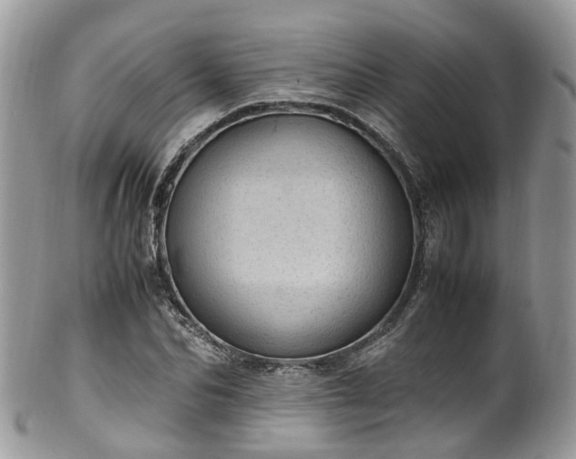 X0000100420974200806131055