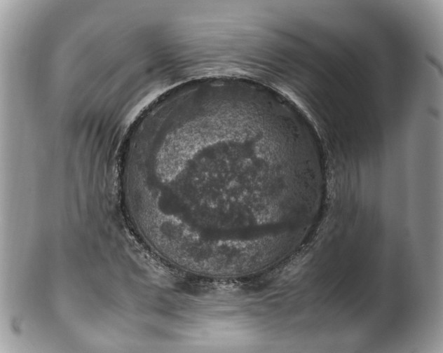 X0000100420975200806131055