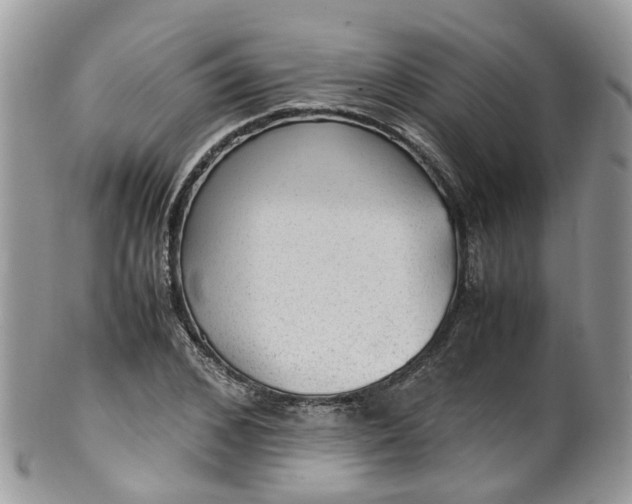 X0000100420976200806131055