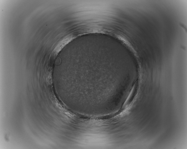 X0000100420977200806131055