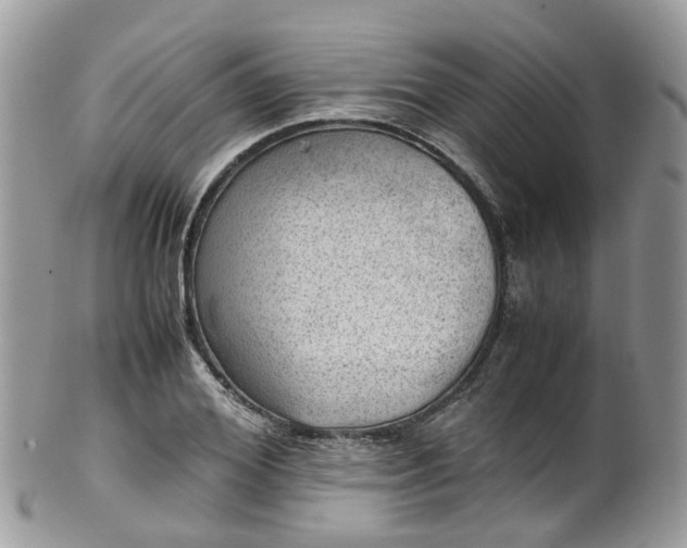 X0000100420980200806131055