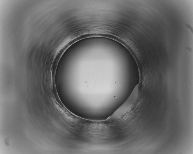 X0000100420982200806131055