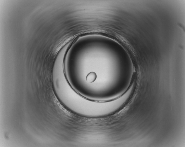 X0000100420985200806131054