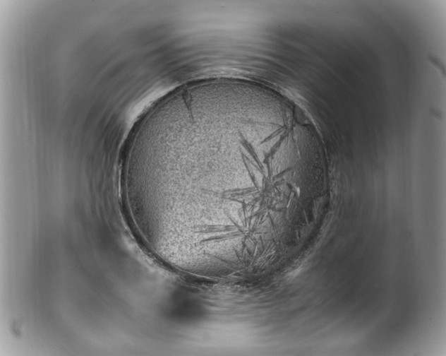 X0000100420987200806131054