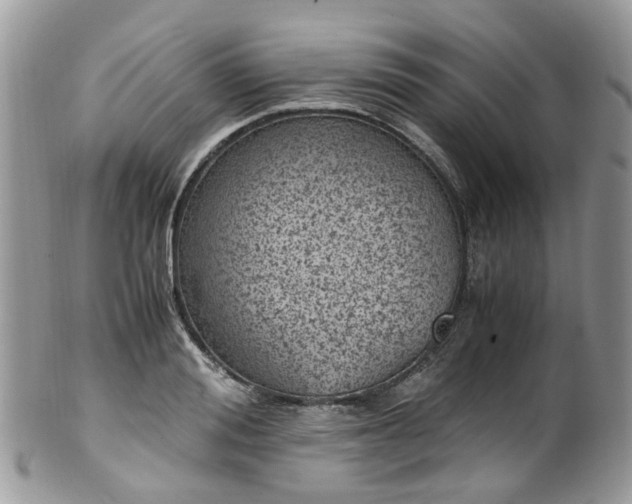 X0000100420988200806131054