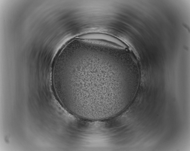 X0000100420992200806131054