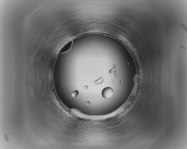 X0000100420993200806131054
