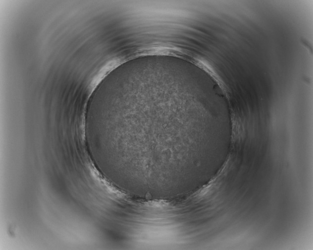 X0000100420994200806131054