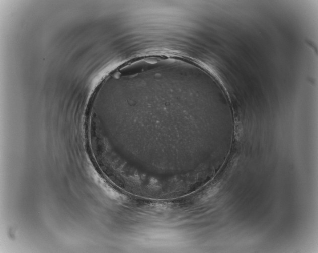 X0000100420995200806131054