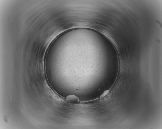 X0000100420996200806131054