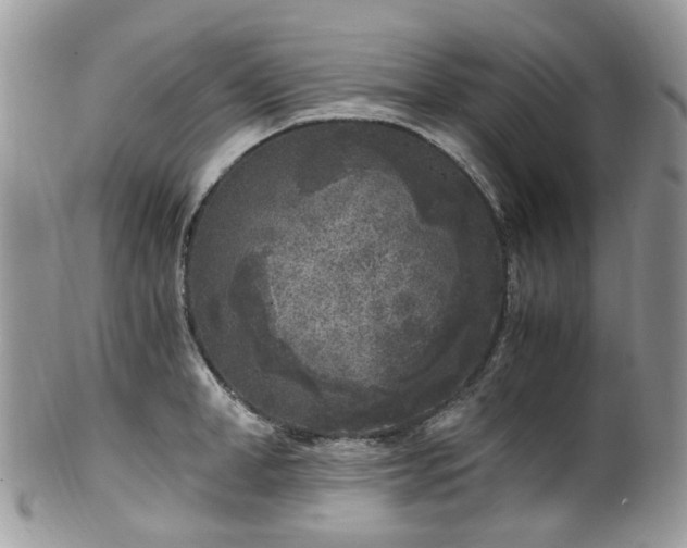 X0000100420998200806131054