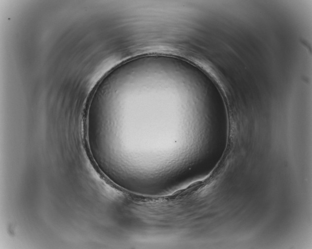 X0000100420999200806131054
