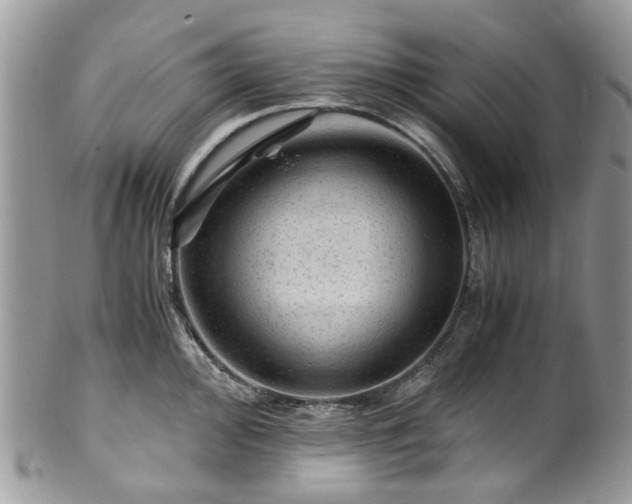 X0000100421000200806131054