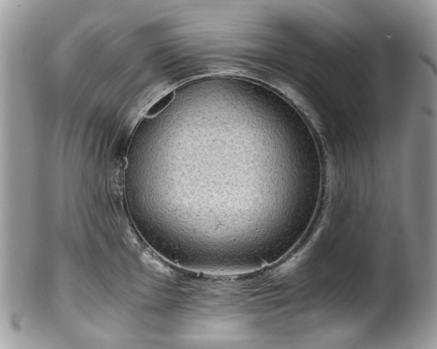 X0000100421001200806131054