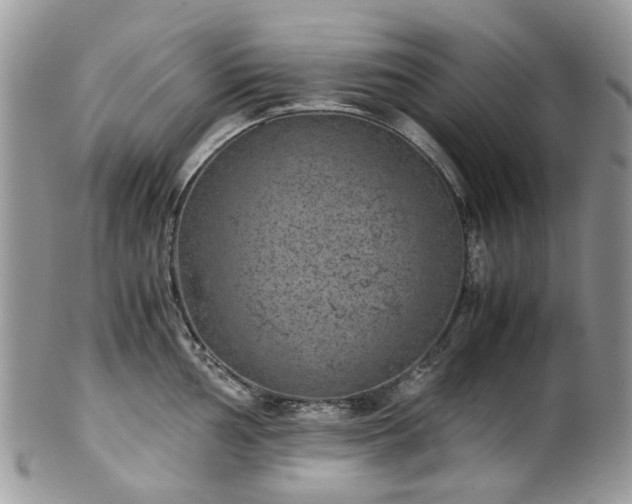 X0000100421002200806131054