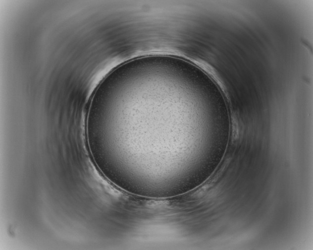 X0000100421006200806131054