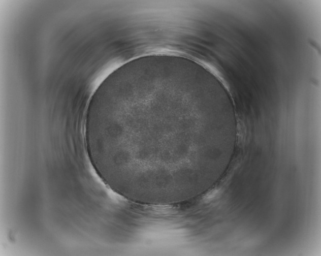 X0000100421007200806131054