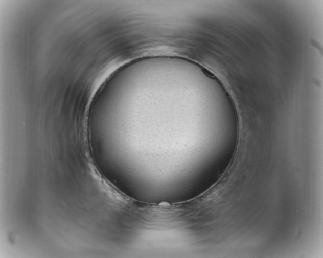 X0000100421008200806131054