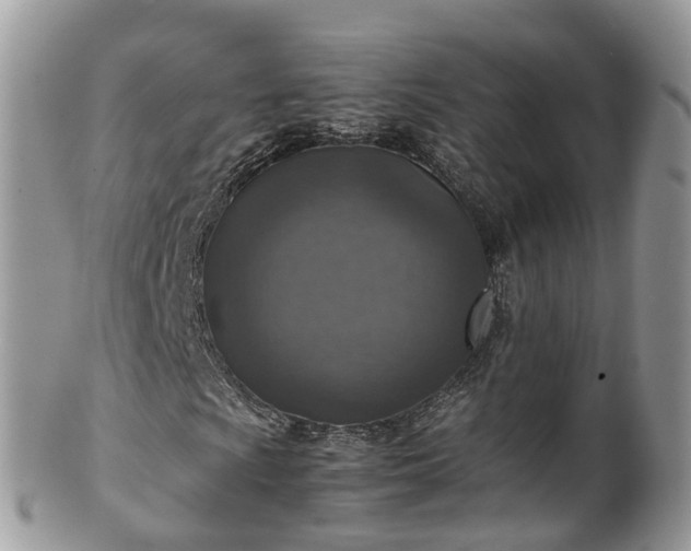 X0000100421009200806131054