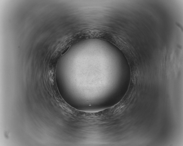 X0000100421010200806131054