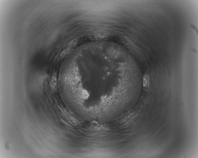 X0000100421011200806131054
