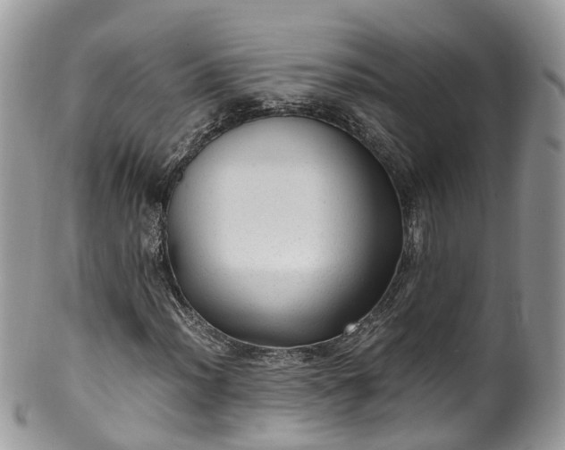 X0000100421012200806131054