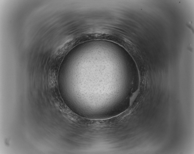 X0000100421014200806131054