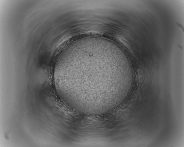 X0000100421015200806131054