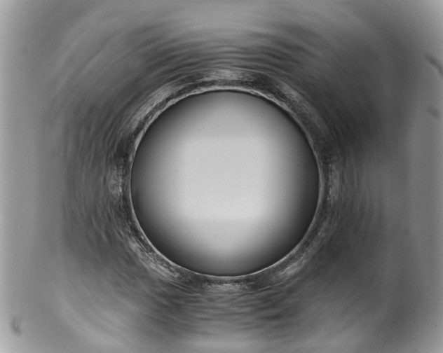 X0000100421017200806131054