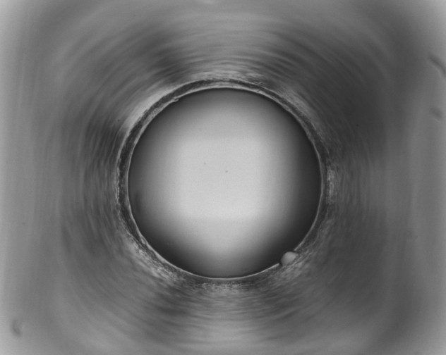 X0000100421020200806131054