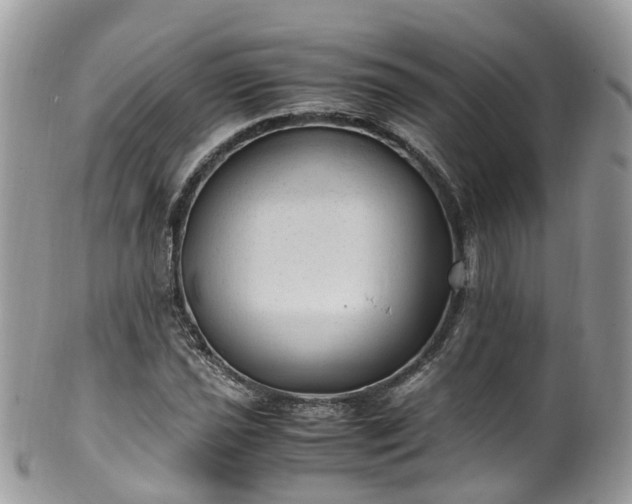 X0000100421021200806131054