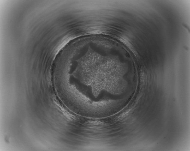 X0000100421023200806131054