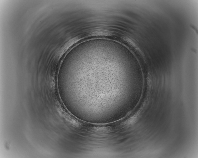 X0000100421025200806131054
