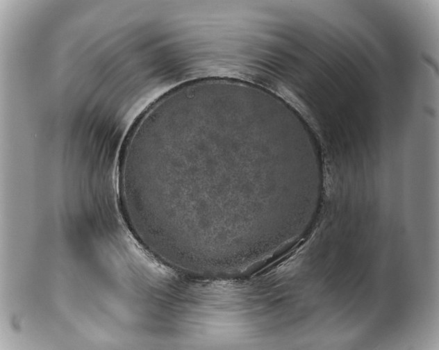 X0000100421028200806131054